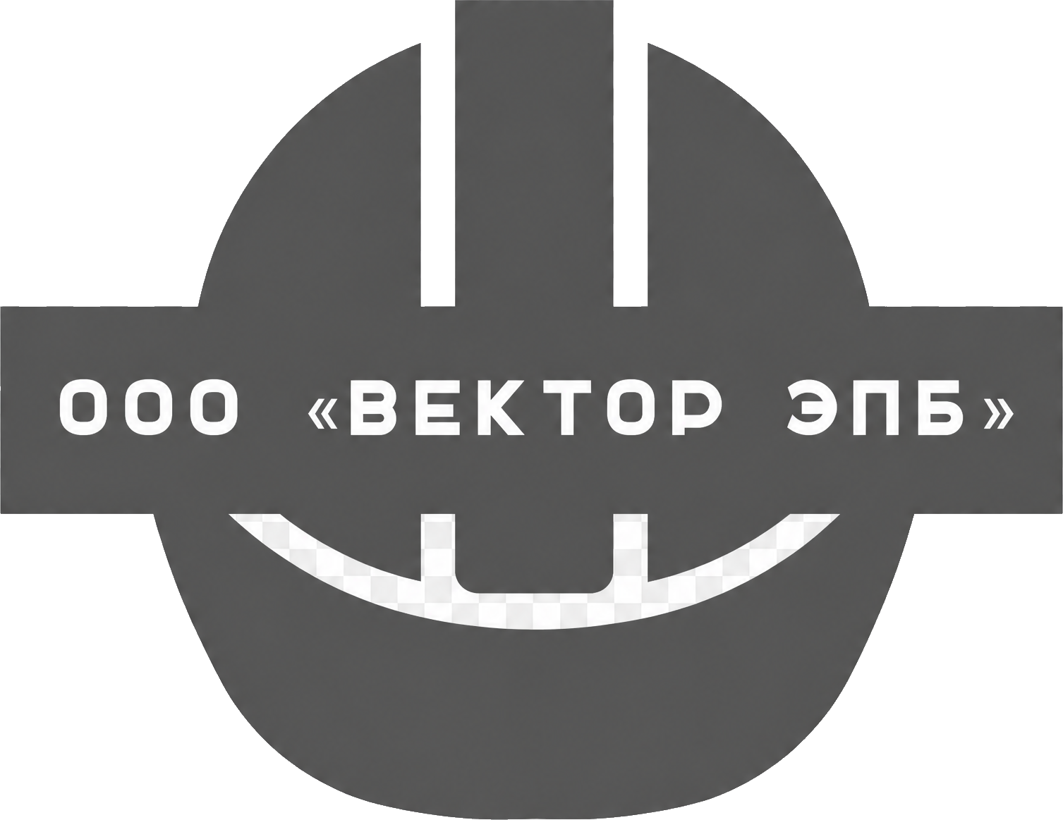 ООО «ВЕКТОР ЭПБ»
